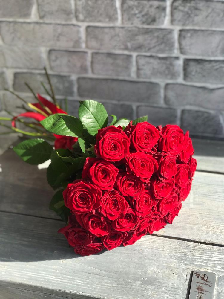 Букет Красные розы Фридом в Холодном