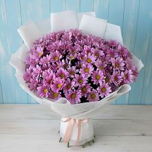 Букет цветов из:  Хризантемы #REPLACE_PRED# Холодном