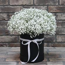 Цветочная композиция из Гипсофила в шляпной коробке #REPLACE_PRED# Холодном